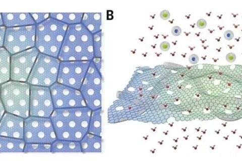 大面积石墨烯纳米筛(GNM)/碳纳米管(CNTs)复合纳滤膜