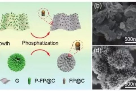 东北师范大学Xing-Long Wu课题组–在石墨烯纳米片上垂直生长的FeP@C纳米阵列