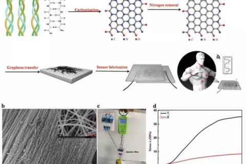 中国科学院院长春应化所张强课题组–使用明胶纳米纤维作为可穿戴传感器制备的氧化石墨烯薄膜用于监测心血管健康