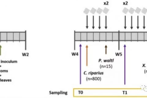 图卢兹大学生态实验室Florence Mouchet课题组–水生微生物在多个营养级评估氧化石墨烯的生态毒性