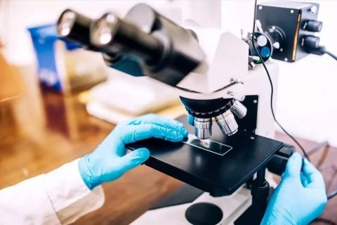 中科院城市环境所二维纳米复合中空纤维超滤膜取得新进展