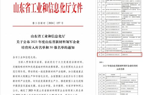 利特纳米再次荣登“双榜”