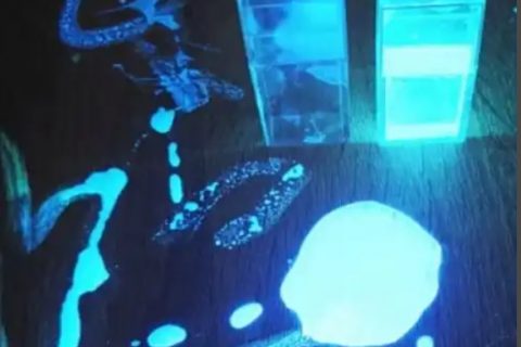 氧化石墨烯量子点荧光现象及颜色变化机理